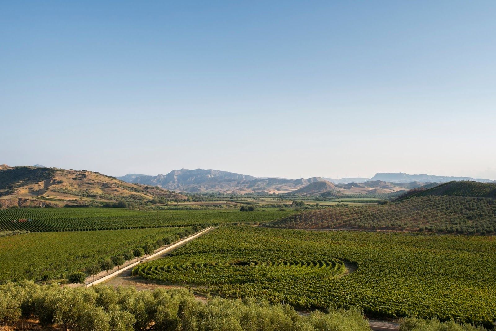 Librandi Antonio Nicodemo Spa, Cirò Marina, Crotone, Calabria, Italy