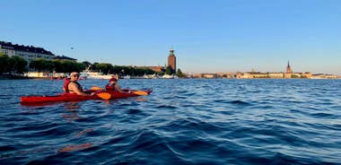Stockholm: Daytime Kayak Tour in Stockholm City
