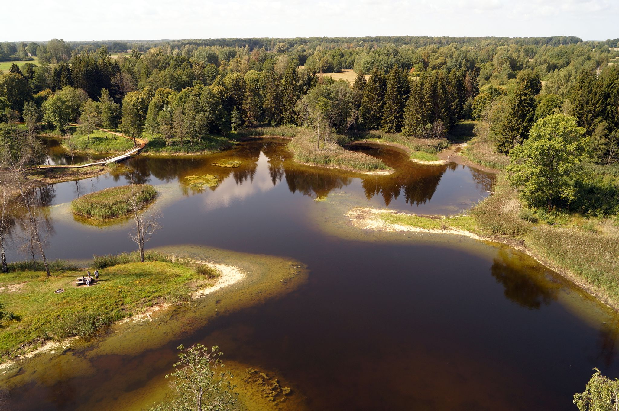 Karst lakes are surrounded by forests.