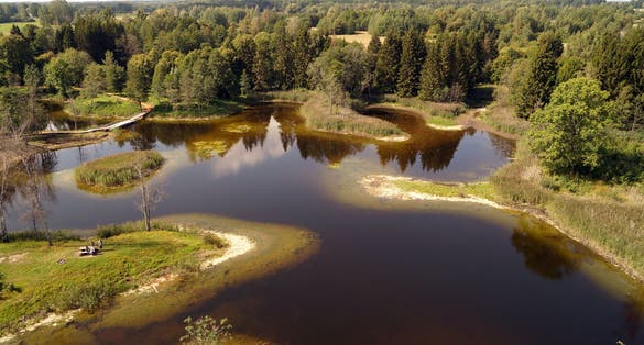 Karst lakes are surrounded by forests.