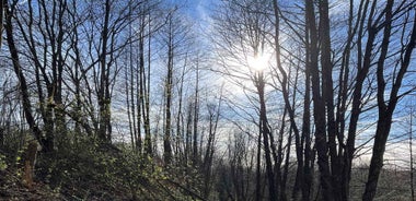 Rzeszów: Countryside trip with bonfire & sausage grilling