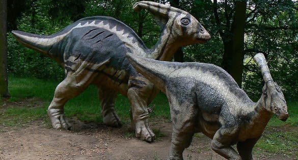 Photo of DinoPark Plzeň, Czech Republic.