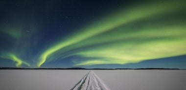 From Saariselkä: Northern lights tour to Lake Inari, incl. dinner