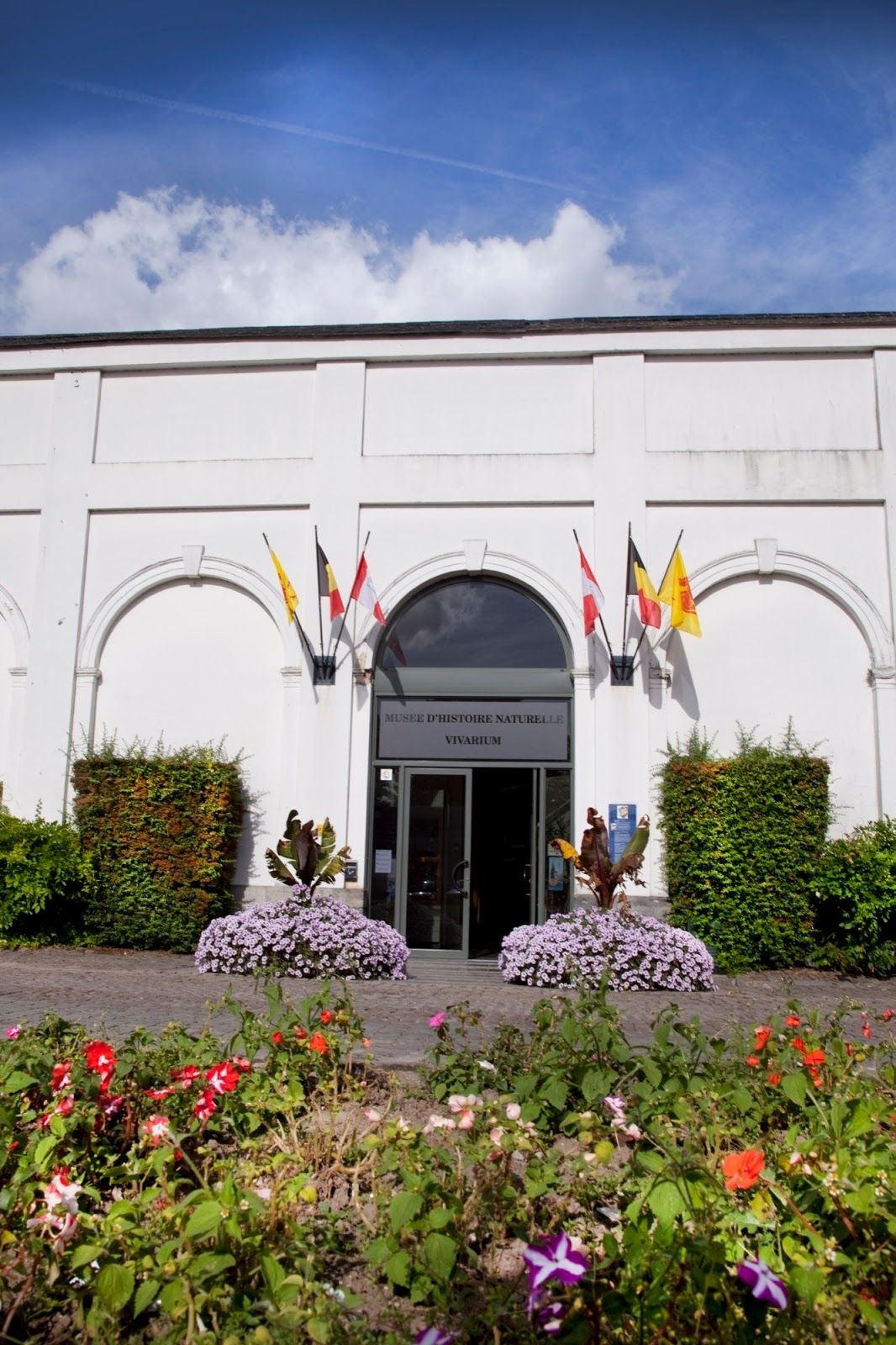 Musée d'Histoire naturelle & Vivarium, Tournai, Tournai-Mouscron, Hainaut, Wallonia, Belgium