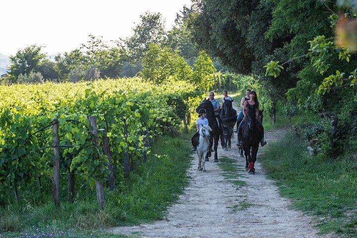 Horseback Riding Tour with Tuscan Picnic in Val d'Orcia and Valdichiana