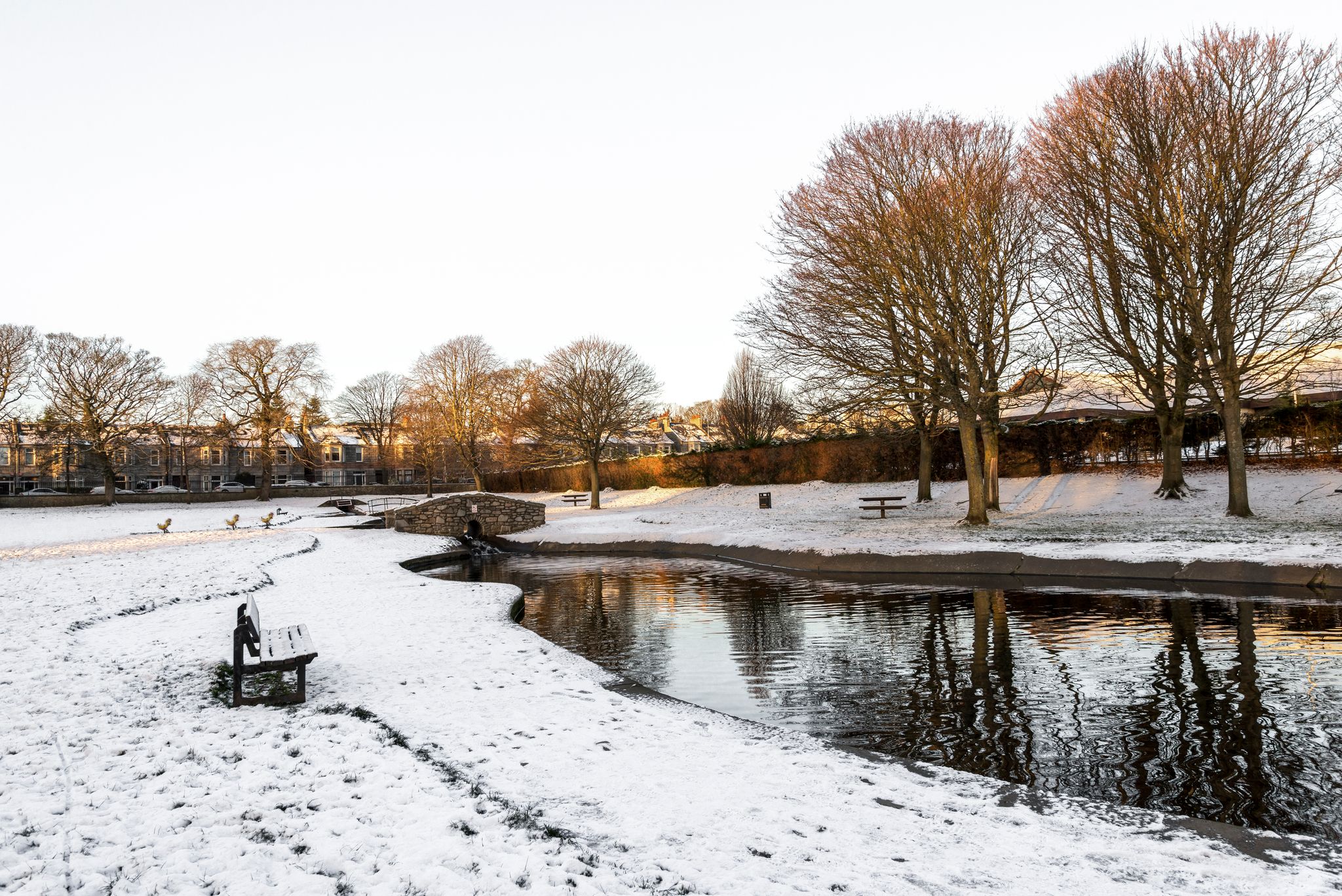 Photo of A small scenic wooden log bridge between artificial ponds in Westburn Park during winter season, Aberdeen, Scotland .