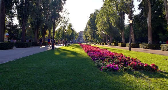Photo of El Retiro Park (Parque de El Retiro) is one of the largest parks of the city, it belonged to the Spanish Monarchy until the late 19th century.