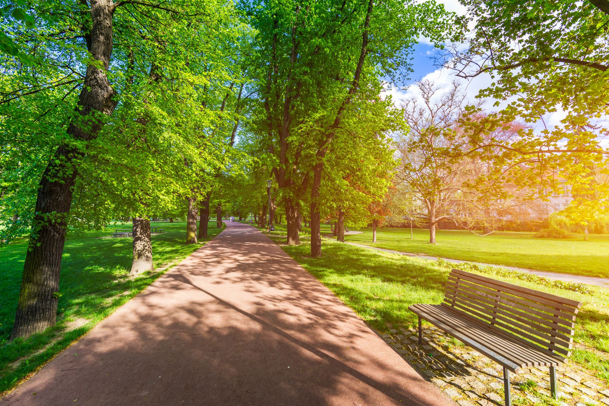 Photo of Spring view in Letna Park, Prague, Czech Republic.