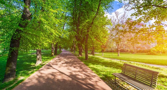Photo of Spring view in Letna Park, Prague, Czech Republic.