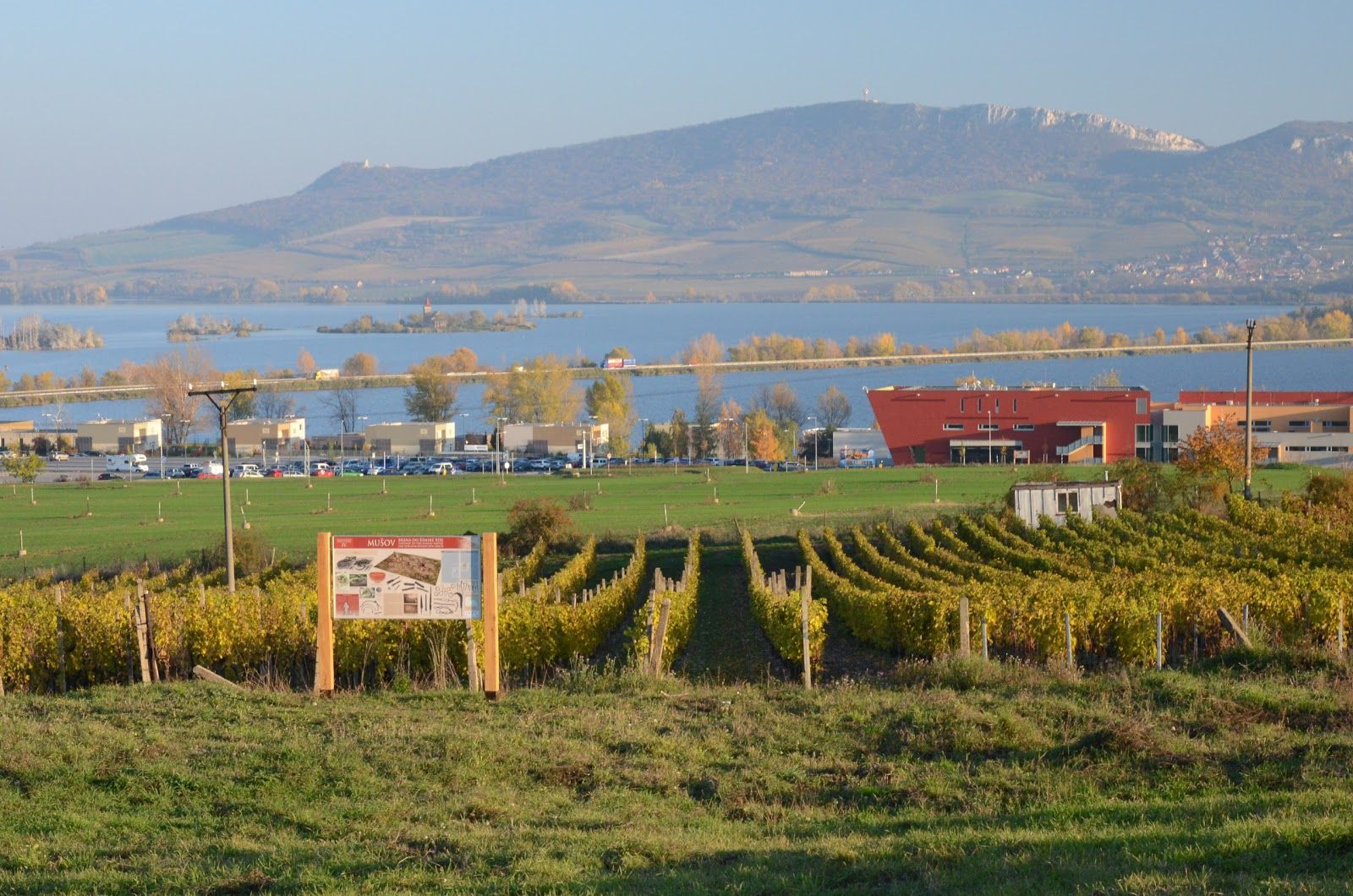 Římský vrch, Mušov, Pasohlávky, okres Brno-venkov, Jihomoravský kraj, Southeast, Czechia