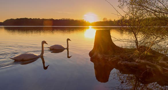 photo of view of Sunset on the 6-seen-platte lake in the city of Duisburg in Germany.