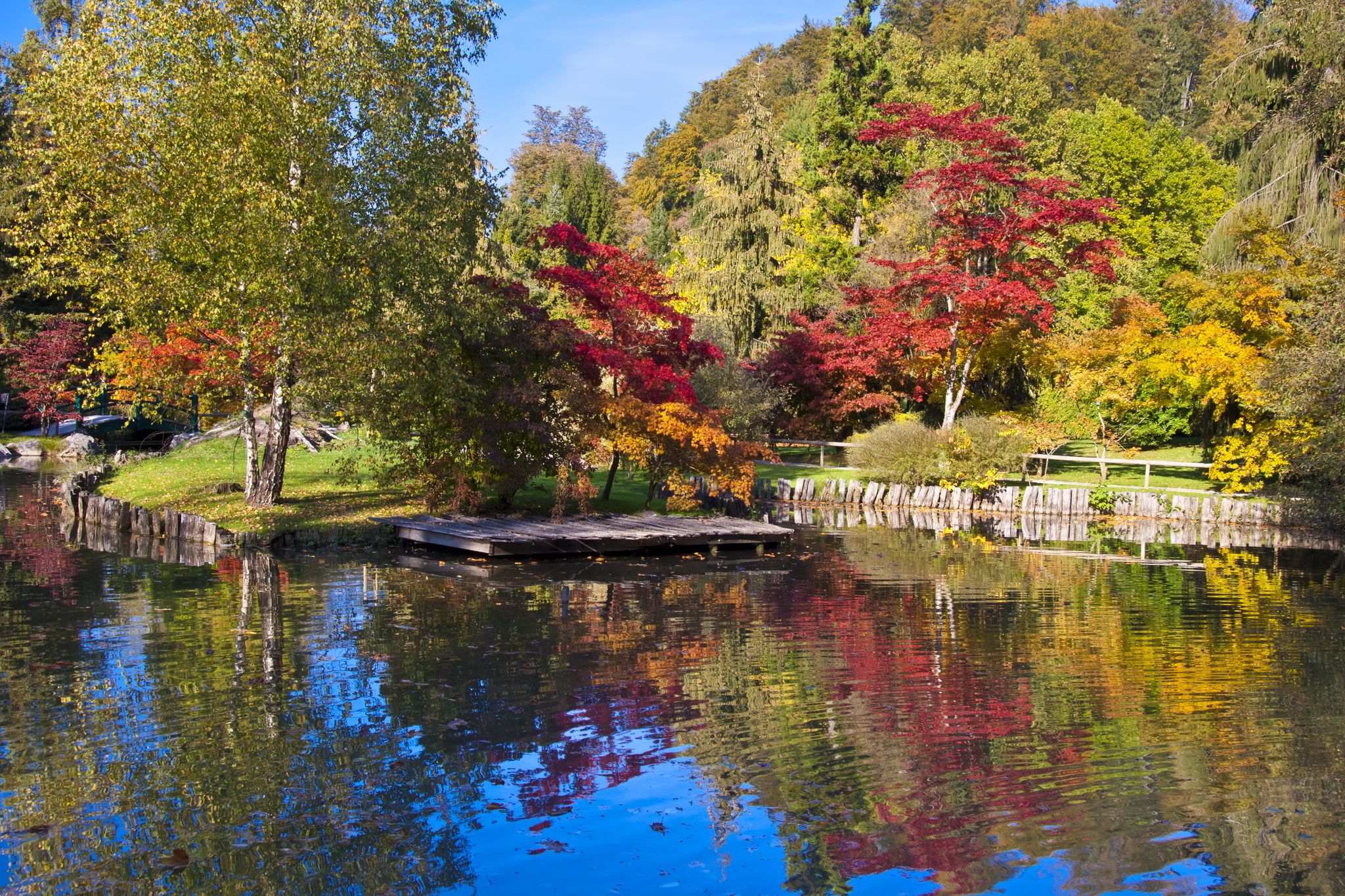 Fall landscape in the Arboretum Volcji potok botanical garden, Ljubljana, Slovenia