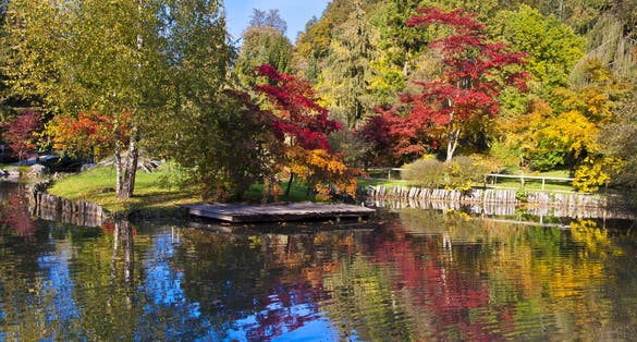 Fall landscape in the Arboretum Volcji potok botanical garden, Ljubljana, Slovenia