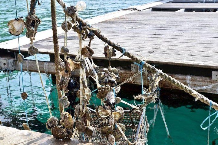 Private Tour Experience Dubrovnik North-West Countryside & Riviera