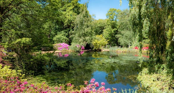 Photo of beautiful flower garden and a small pond in the spring season in Richmond Park, London, England.