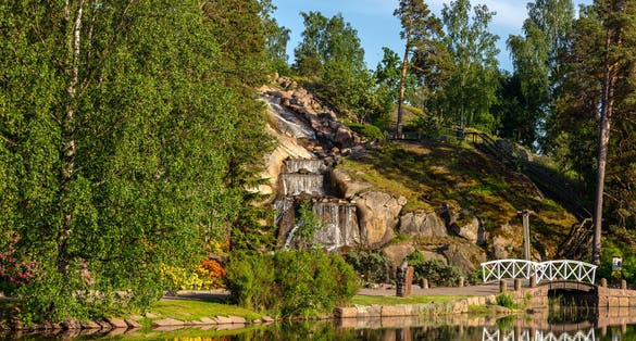 blooming rhododendrons in Sapokka landscaping park Kotka Finland