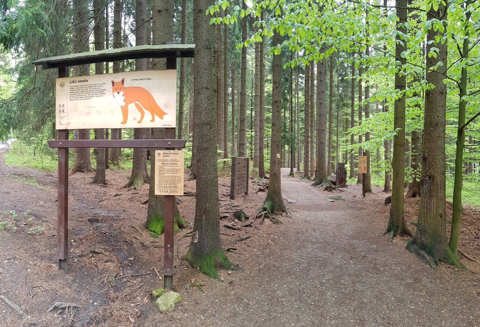 Liščí stezka, Harrachov, okres Jablonec nad Nisou, Liberecký kraj, Northeast, Czechia