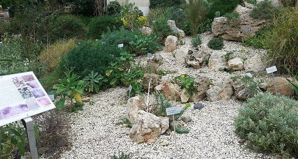 photo of view of Un angolo dell'Hortus Siculus., Catania, Italy.