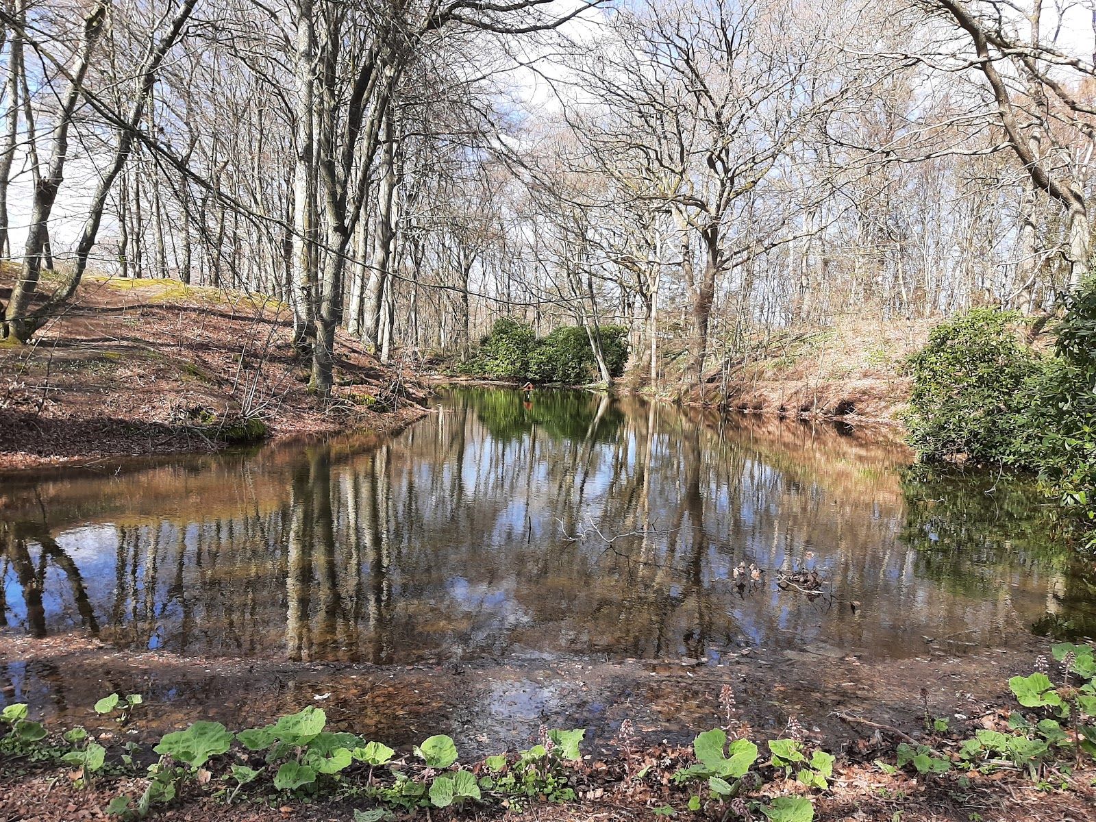 Nellemanns Have, Frederikshavn Municipality, North Denmark Region, Denmark