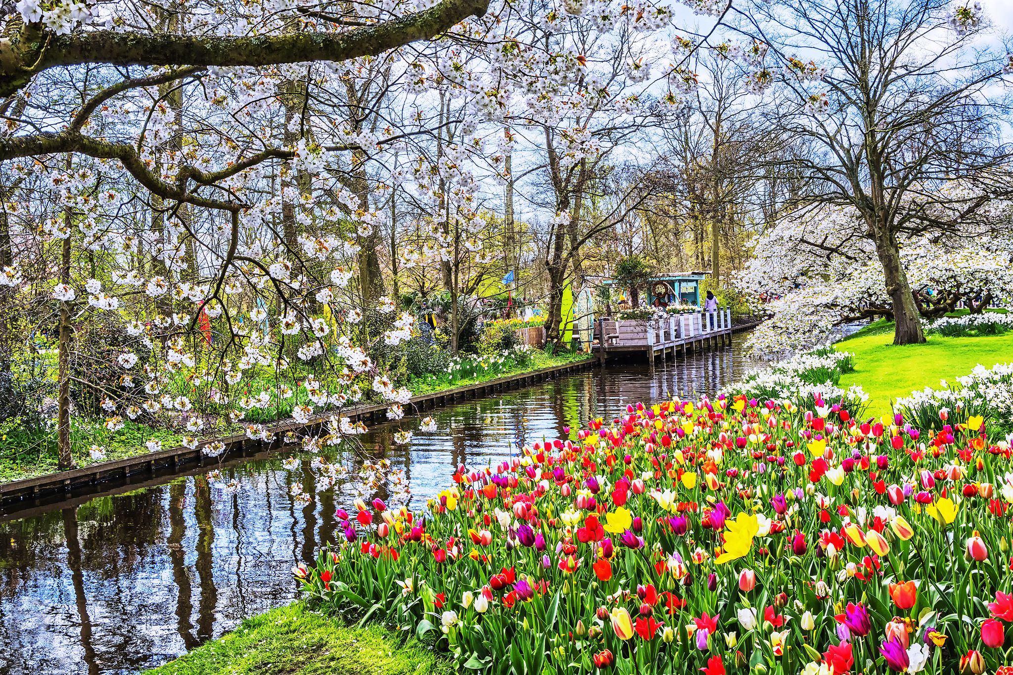 Photo of Keukenhof park of flowers and tulips in the Netherlands.