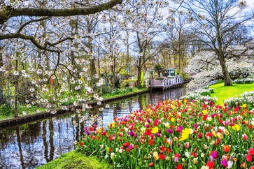 Keukenhof travel guide