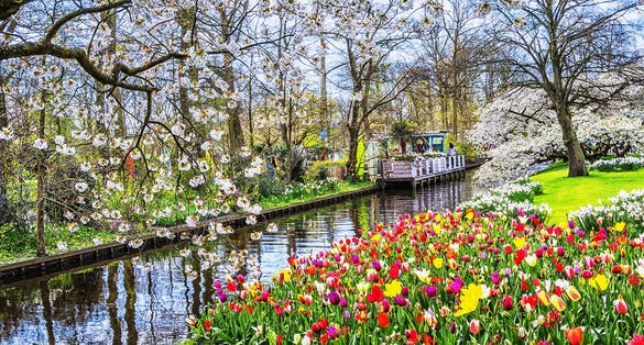 Photo of Keukenhof park of flowers and tulips in the Netherlands.