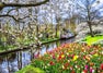 Keukenhof travel guide