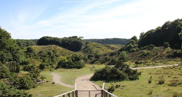 Photo of Rebild bakker national park in Denmark.