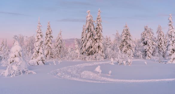 Winter landscapes in Lapland near Sirkka, Finland
