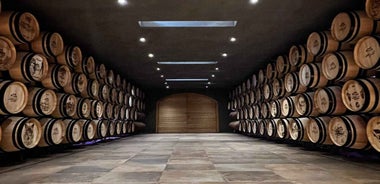 Geneva Countryside, Wine Tasting, Aperitif, Castle By E-bike