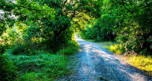 PHOTO OF beautiful white road through a lush forest near the Pieve di Santo Stefano on the Pilgrim of San Francesco in Arezzo Tuscany Italy