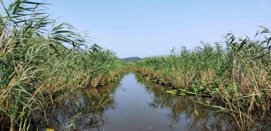 From Ulcinj: Skadar Lake Land and Boat Tour