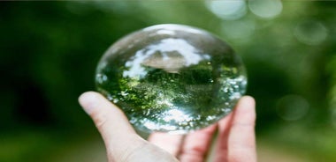 Wexford: A Mindful Retreat Forest Bathing & Nature Therapy