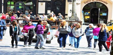 From Bucharest: Brasov Peles & Dracula's Castle Day Tour