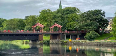 Trondheim: City Highlights Bus and Walking Tour