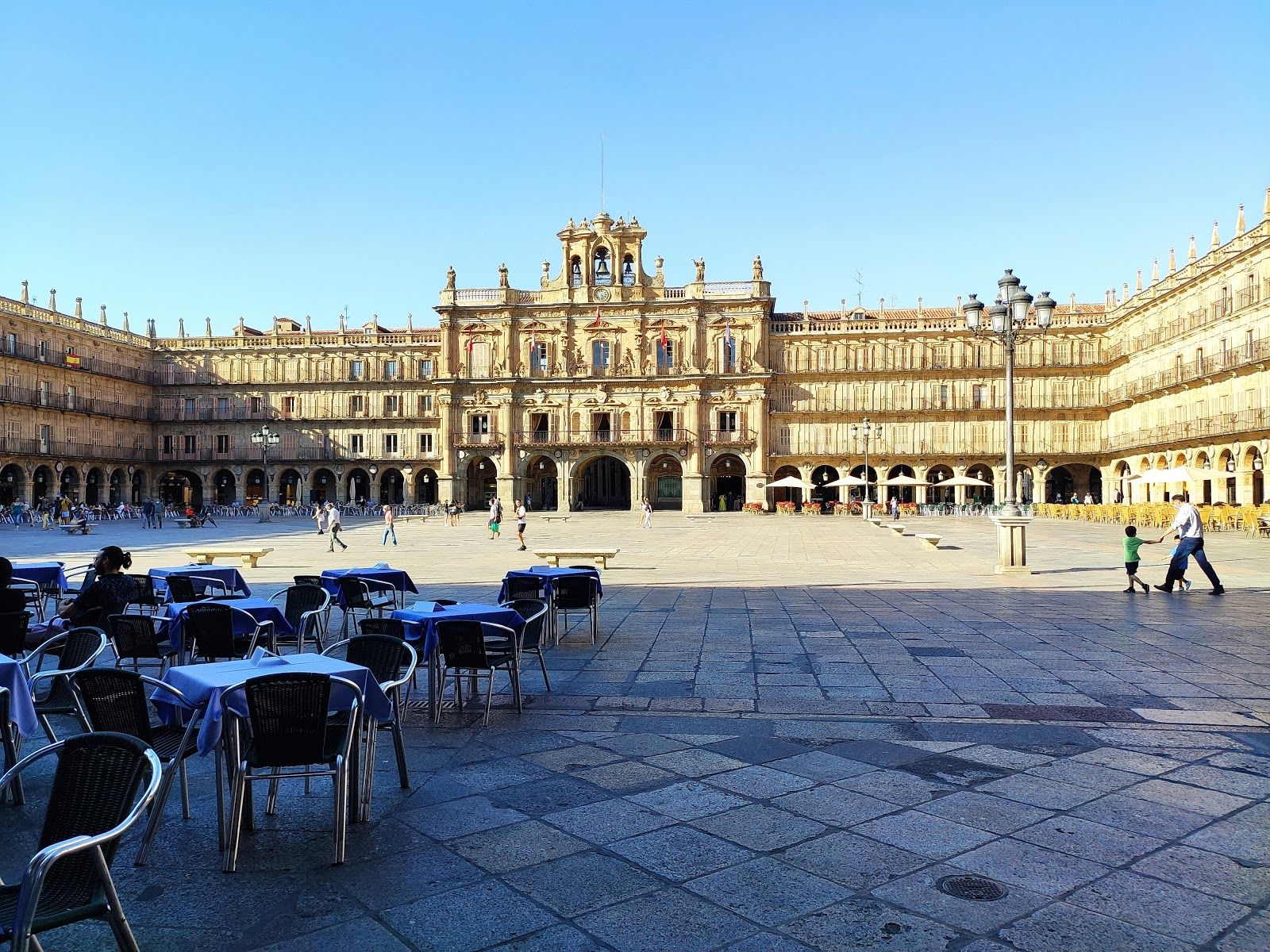 Frog Salamanca, Centro, Salamanca, Castile and León, Spain