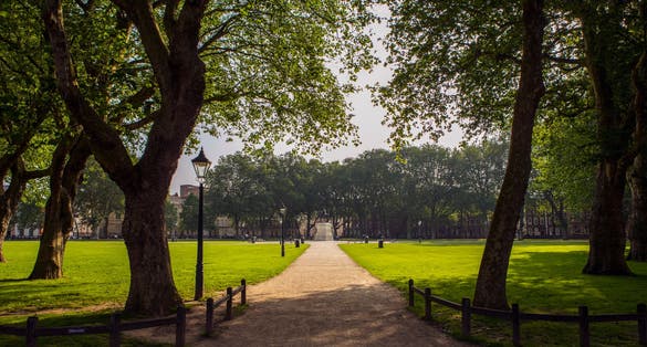 Photo of beautiful Queen Square in the city of Bristol, UK.