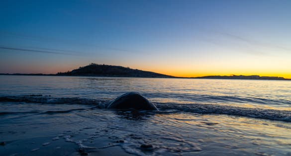 a beautiful sunrise in the fjord at Tønsberg Tønne in beautiful norway