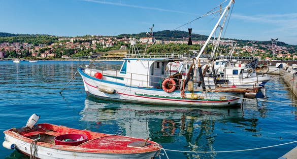 Boats in the port of Koper (Slovenia)