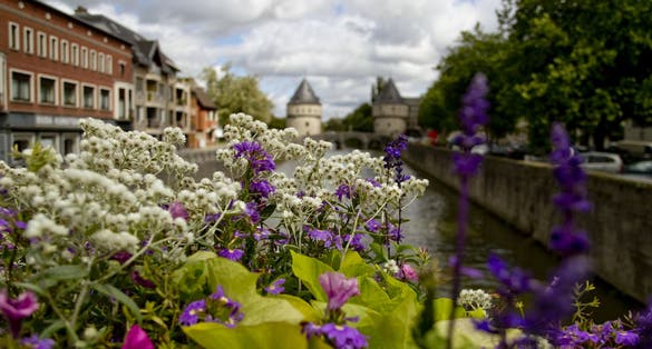 photo of view of Kortrijk Tower Bridge Flowers In Foreground Belgium
