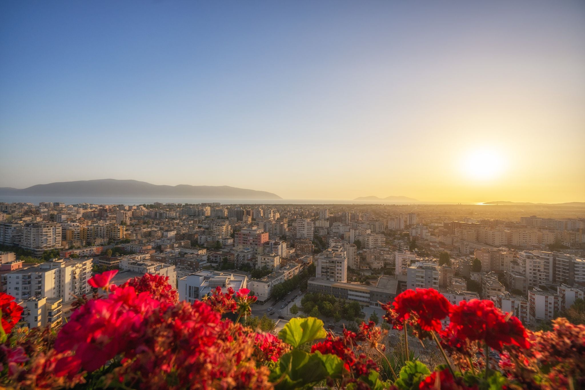 shutterstock_2483678967 (1).jpg