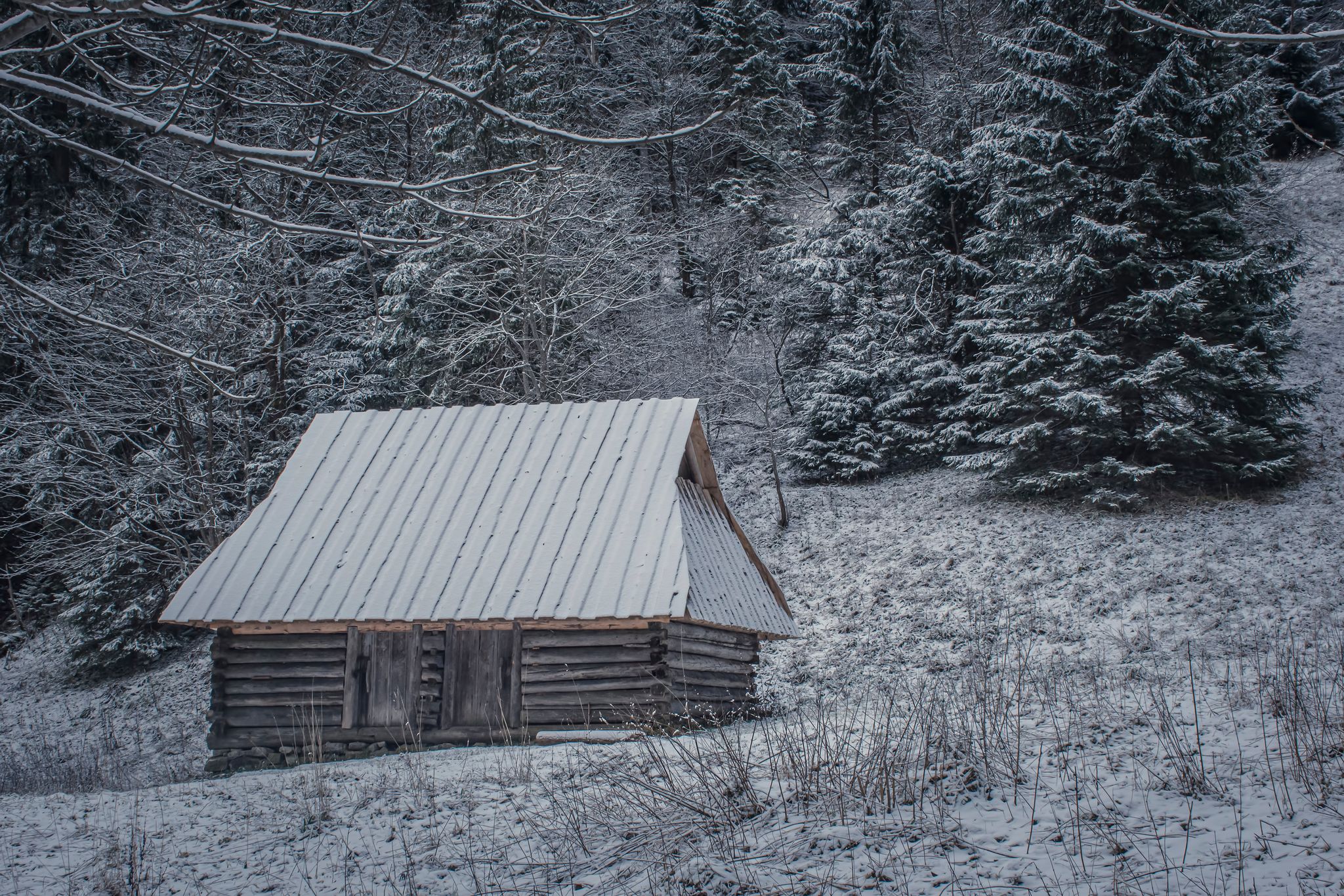 Old wooden chalet in Dolina Strążyska Valley, Western Tatra Mountains, Poland. Historical architecture used by Podhale shepherds. Selective focus on the exterior of the building, blurred background.