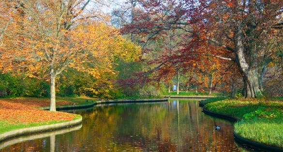 Photo of golden autumn time in Frederiksberg park, Copenhagen, Denmark.