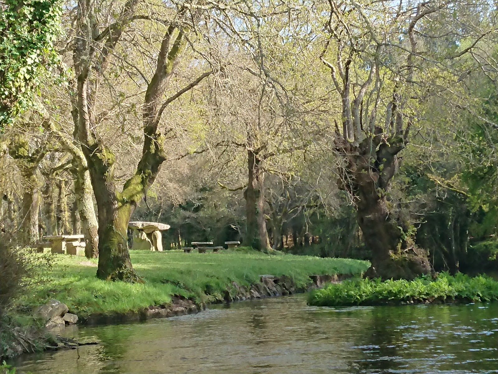 Área recreativa / Club Fluvial de Baamonde (privado), Baamonde, Begonte, Terra Chá, Lugo, Galicia, Spain