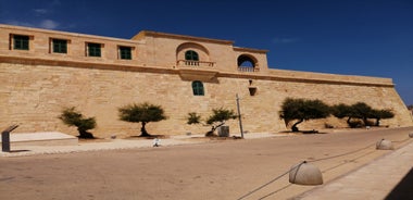 Aerial view of Lady of Mount Carmel church, St.Paul's Cathedral in Valletta embankment city center, Malta.
