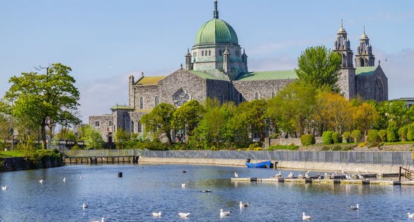 photo  of view of Seagulls swimming in Corrib river and Galway Cathedral in background, Galway, Ireland.