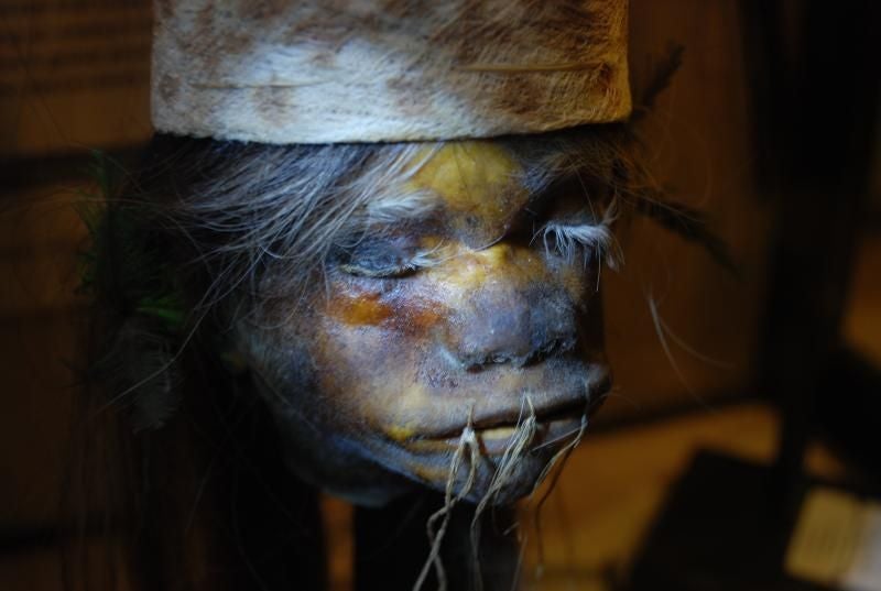 Shrunken head  in the Oxford Pitt Rivers Museum.jpg