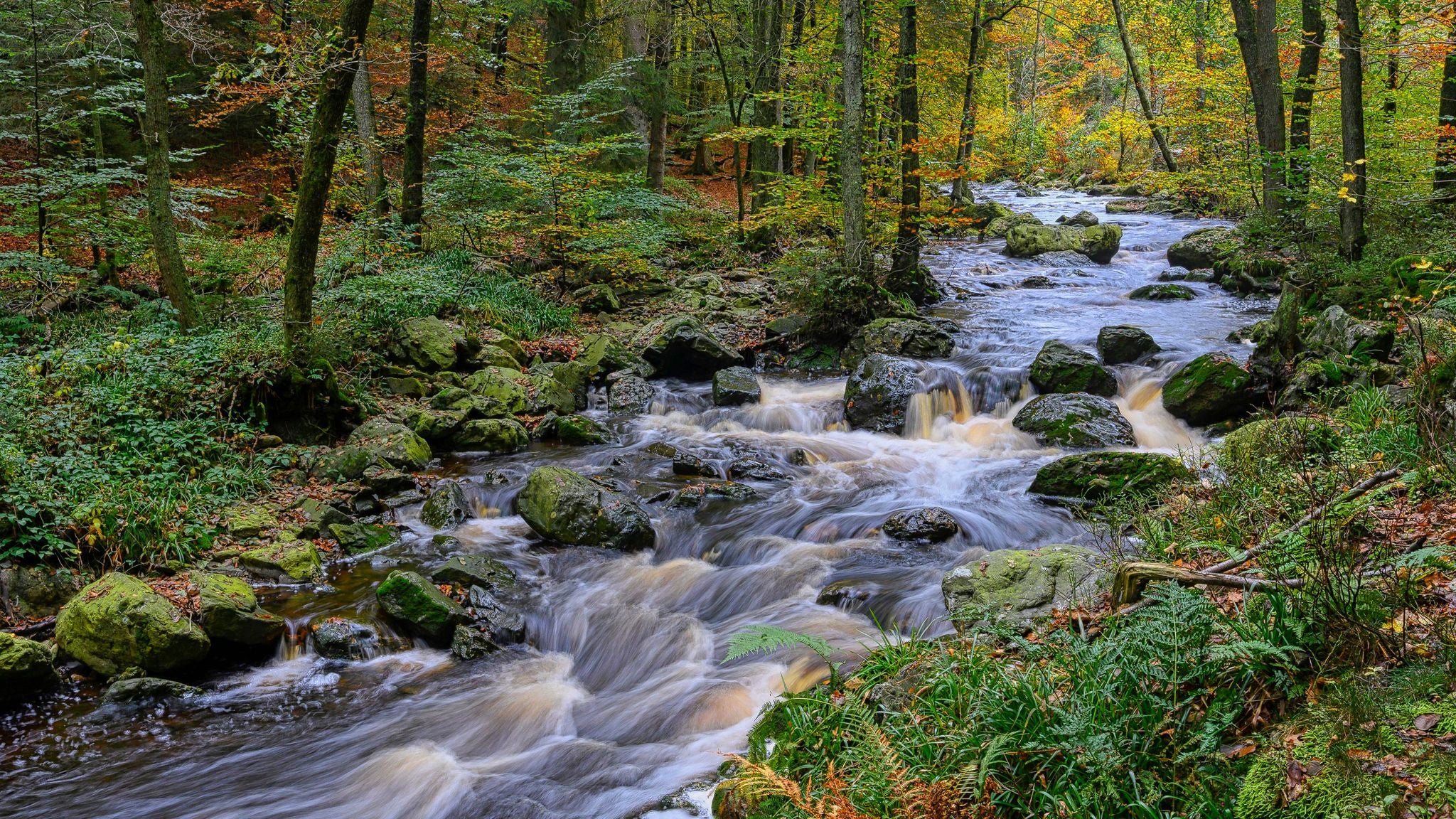 shutterstock_1728160573 (1).jpg