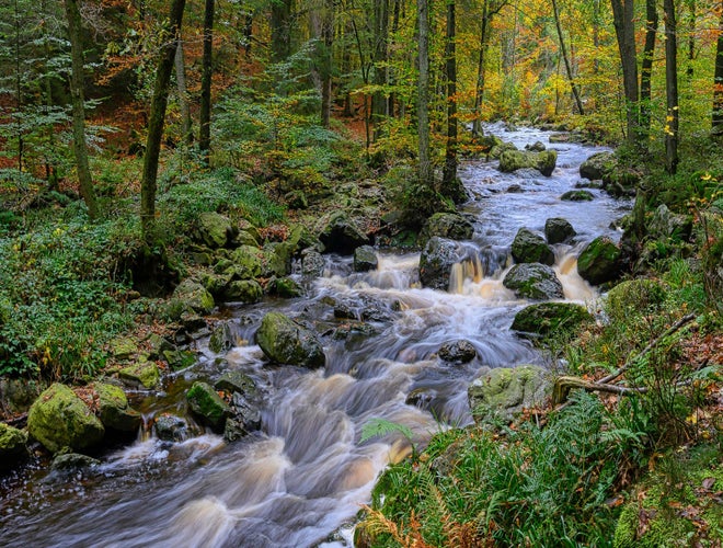 shutterstock_1728160573 (1).jpg