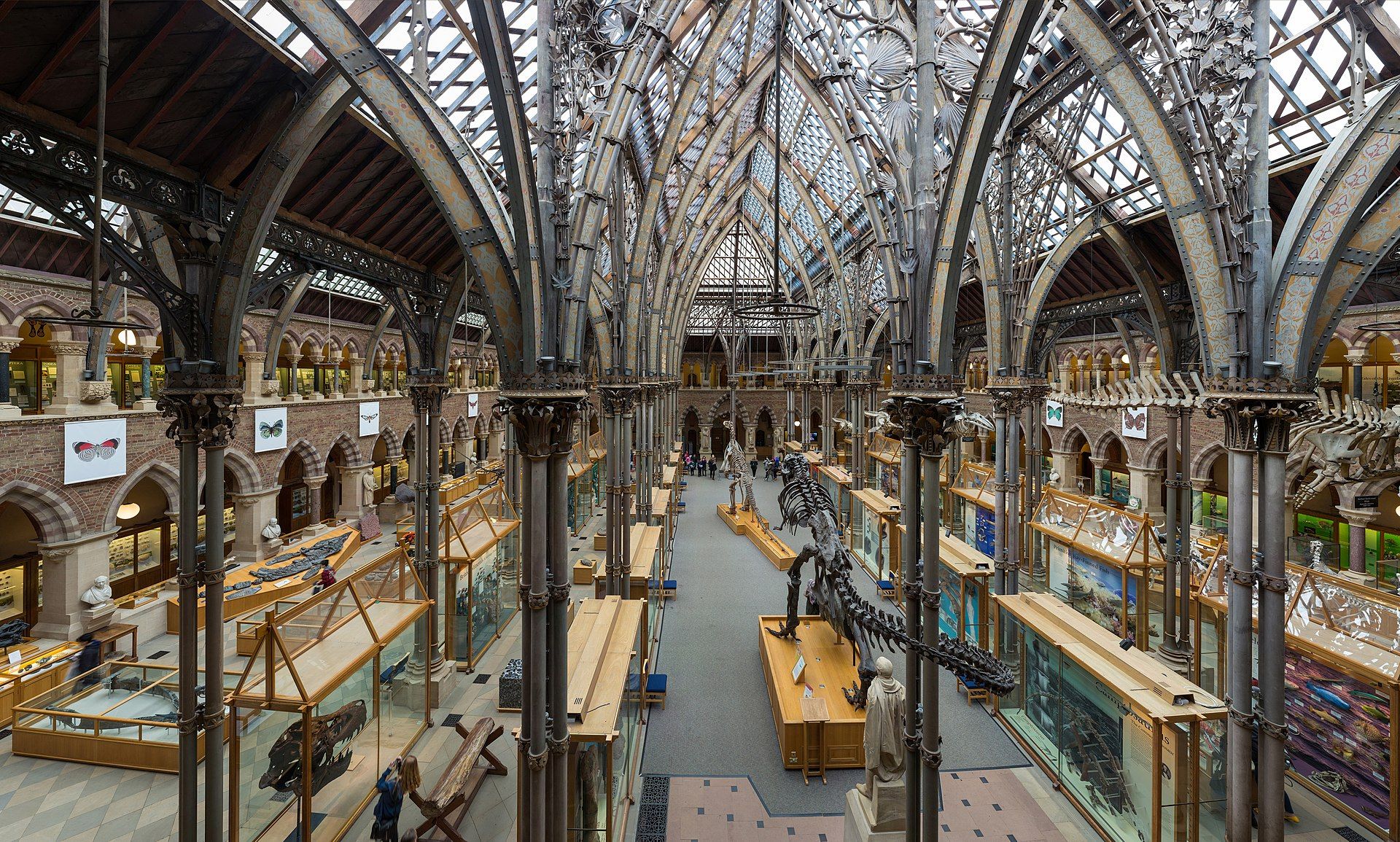 Photo of the interior of Natural History Museum of the University of Oxford, United Kingdom.